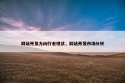网站开发方向行业现状，网站开发市场分析