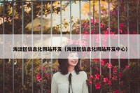 海淀区信息化网站开发（海淀区信息化网站开发中心）