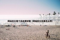 网站优化哪个系统更好做（网站优化效果怎么样）