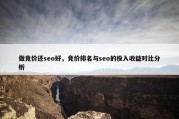 做竞价还seo好，竞价排名与seo的投入收益对比分析