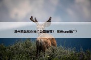 常州网站优化推广公司推荐？ 常州seo推广？