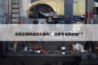日照正规网站优化服务？ 日照专业网站推广？