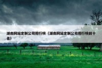 湖南网站定制公司排行榜（湖南网站定制公司排行榜前十名）
