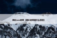 网红seo老师（网红老师是什么意思）