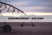 蜂蜜价格海报文案网站推广（蜂蜜产品海报）