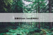 高要优化seo（seo高效优化）