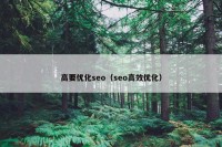 高要优化seo（seo高效优化）
