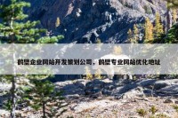 鹤壁企业网站开发策划公司，鹤壁专业网站优化地址