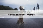 大理网站优化机构哪家好？ 大理本地网？