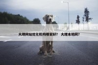 大理网站优化机构哪家好？ 大理本地网？