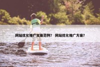 网站优化推广文案范例？ 网站优化推广方案？