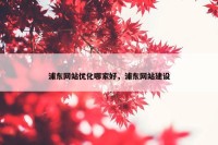 浦东网站优化哪家好，浦东网站建设
