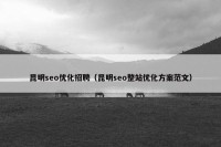 昆明seo优化招聘（昆明seo整站优化方案范文）