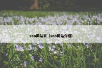 seo网站家（seo网站介绍）