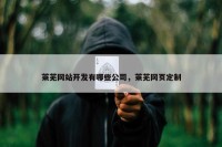 莱芜网站开发有哪些公司，莱芜网页定制