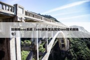 放蜘蛛seo系统（seo具体怎么优化seo技术蜘蛛屯）