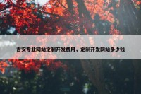 吉安专业网站定制开发费用，定制开发网站多少钱