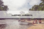 seo教学泉州，seo教程有什么
