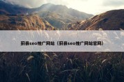蓟县seo推广网站（蓟县seo推广网站官网）