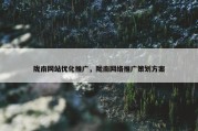 陇南网站优化推广，陇南网络推广策划方案