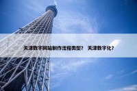 天津数字网站制作流程类型？ 天津数字化？