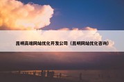 昆明高端网站优化开发公司（昆明网站优化咨询）