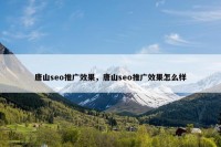 唐山seo推广效果，唐山seo推广效果怎么样