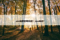 seo站群管理系统？ seo站点？