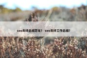 seo年终总结范文？ seo年终工作总结？