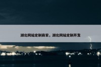 湖北网站定制商家，湖北网站定制开发