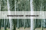 湖州网站开发咨询招聘？ 湖州咨询有限公司？
