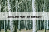 湖州网站开发咨询招聘？ 湖州咨询有限公司？