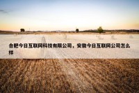 合肥今日互联网科技有限公司，安徽今日互联网公司怎么样