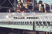 开县seo公司？ 开县知名企业？