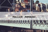 开县seo公司？ 开县知名企业？