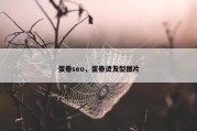 蛋卷seo，蛋卷烫发型图片