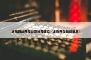定陶网站开发公司推荐哪家（定陶开发最新消息）