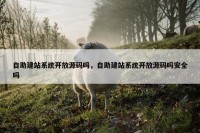 自助建站系统开放源码吗，自助建站系统开放源码吗安全吗