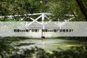 阳春seo推广价格？ 阳春seo推广价格多少？