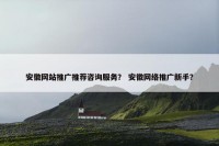 安徽网站推广推荐咨询服务？ 安徽网络推广新手？