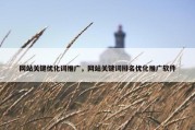 网站关键优化词推广，网站关键词排名优化推广软件