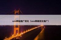 seo网站推广优化（seo网络优化推广）
