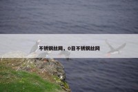 不锈钢丝网，0目不锈钢丝网