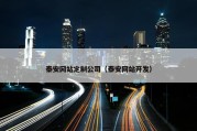 泰安网站定制公司（泰安网站开发）