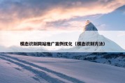 模态识别网站推广案例优化（模态识别方法）