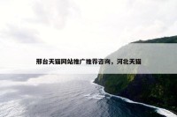 邢台天猫网站推广推荐咨询，河北天猫