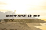 盐池企业网站开发公司招聘？ 盐池平台找工作？