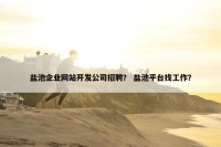 盐池企业网站开发公司招聘？ 盐池平台找工作？