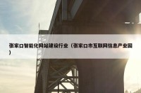张家口智能化网站建设行业（张家口市互联网信息产业园）