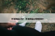 开发网站公司？ 开发网站公司哪家好？